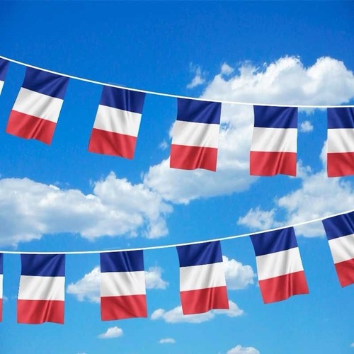 French flag bunting 10m - 10m, 20
