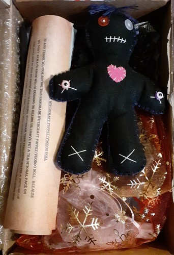 Voodoo doll with pins - doll,