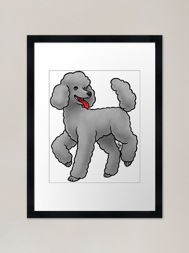 Dog standard poodle - -,