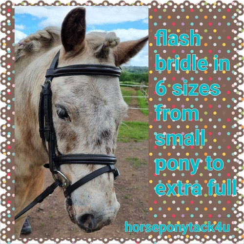 Padded premium leather bridle - padded,