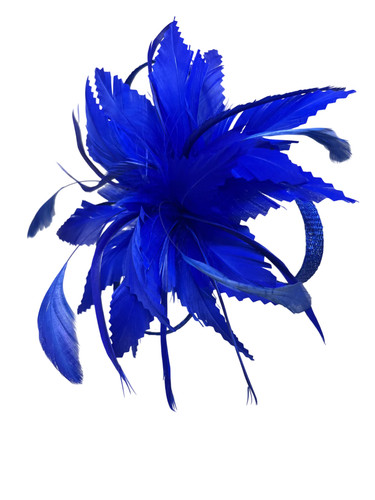 Women flower feather - flower, hair