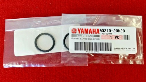 Yamaha tz500 water pipe - water,