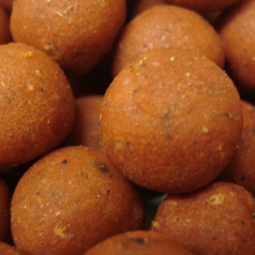 Tange squid boilies carp - squid,