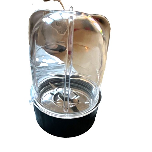 Clear black plastic bean - clear/black,