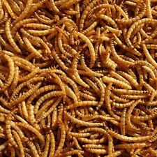 Dried Mealworms Premium Wild Bird Food - Garden Bird Snack High Quality
