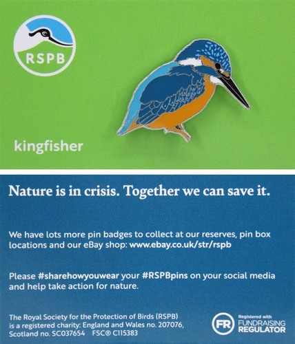 Rspb pin badge niic - rspb, kingfisher