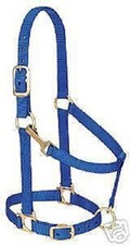 weaver miniature horse adjustable chin halter blue tack