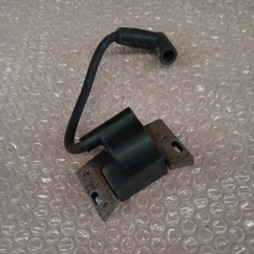 Hayter spirit petrol mower - petrol,