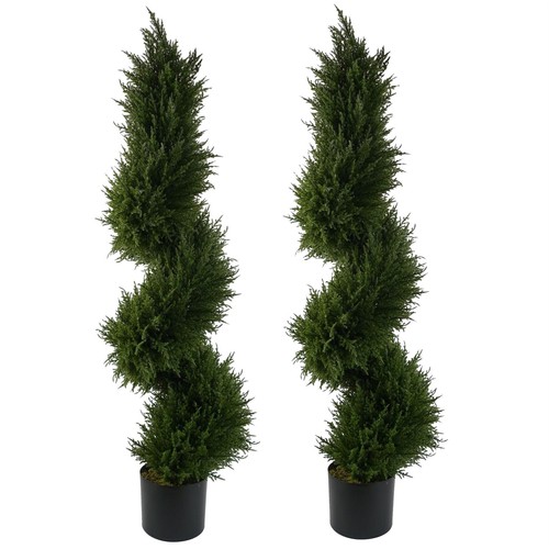 120cm pair spiral cypress - of,