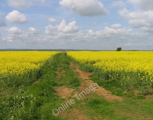 Photo 6x4 fields - west, of