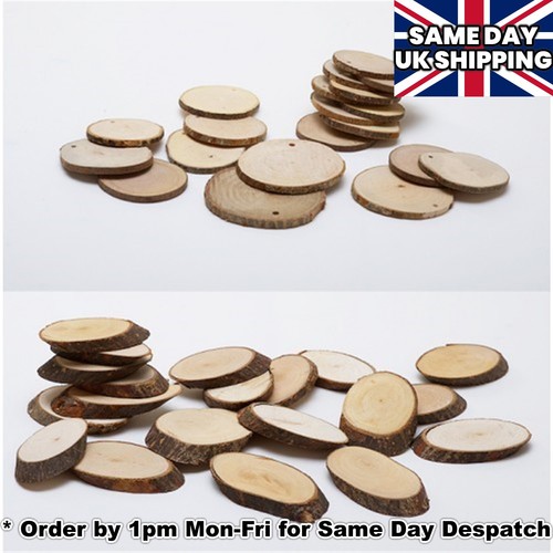 Birch wooden wood log slices - log,
