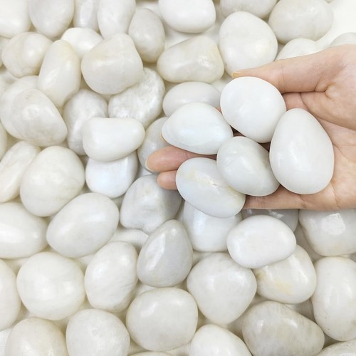 Lbs white stones for garden - 2,