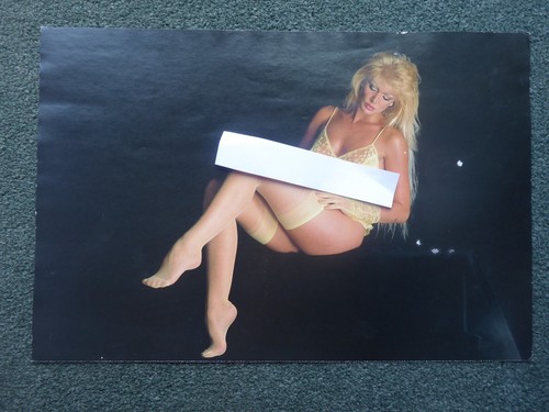 Janine andrews page girl - ,