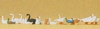 Ducks geese swans - &,
