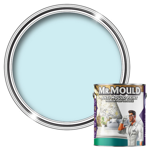 Anti mould wall paint - anti, light