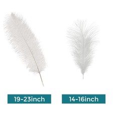 5-10x Large Ostrich Feathers