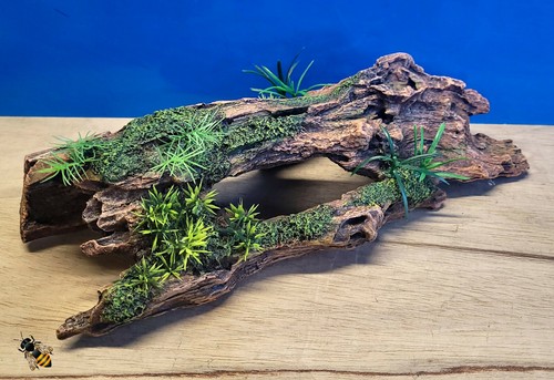 Driftwood log plant - log, large