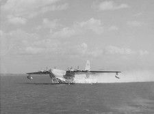 ORIGINAL  PHOTOGRAPH of