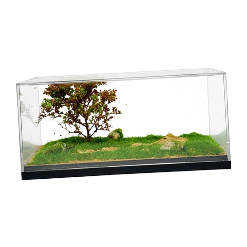 Clear model cars display case - clear,