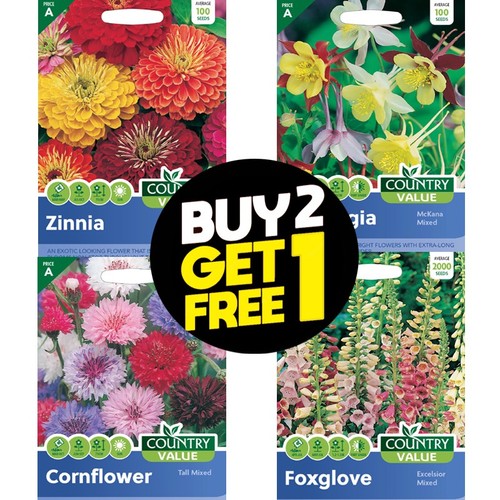 Flower seeds marigold alyssum - flower,