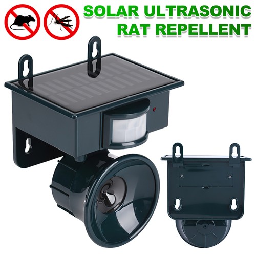 Solar power animal bird pigeon - power,