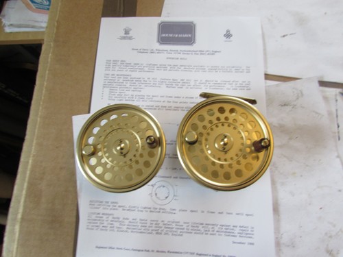 Excellent hardy alnwick gold - alnwick,