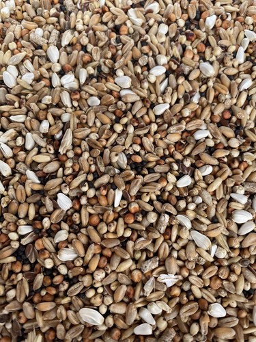 5kg 20kg pigeon conditioner - 5kg-20kg,