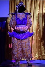 Pantomime Harem Fancy Dress