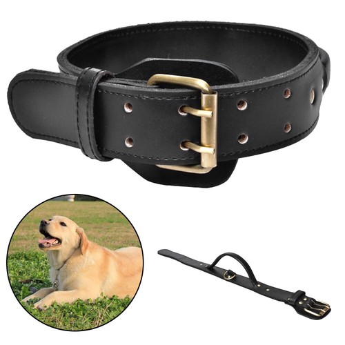Heavy duty dog collar with - collar,