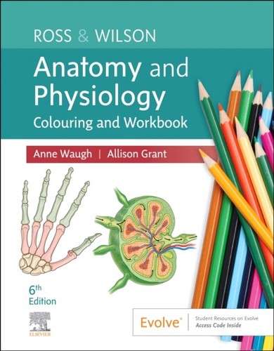Ross wilson anatomy and - anatomy,