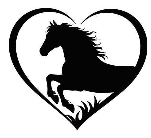 Horse box vinyl decal - horse,