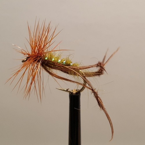 Olive hopper fly fishing - x,