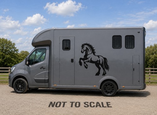 Horse box vinyl decal - horse,