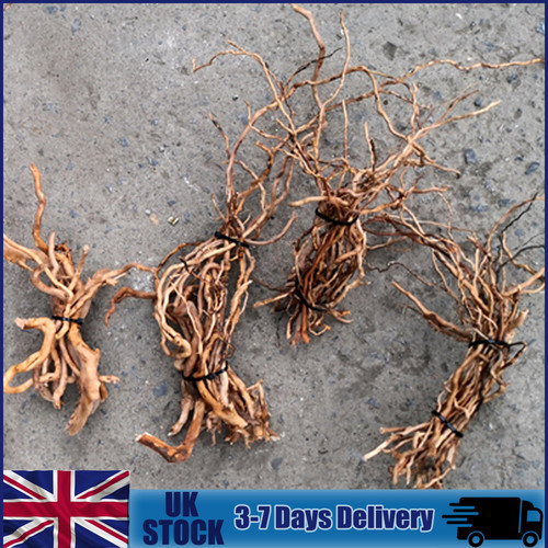 Natural driftwood aquarium - natural,
