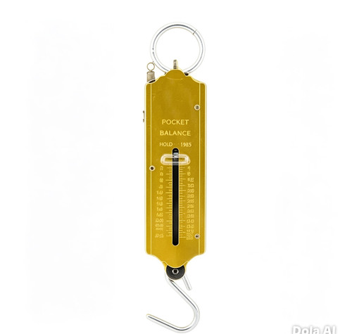 Portable hanging scale 50kg - portable,