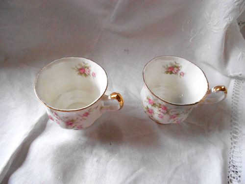 Two paragon victoriana rose - two,