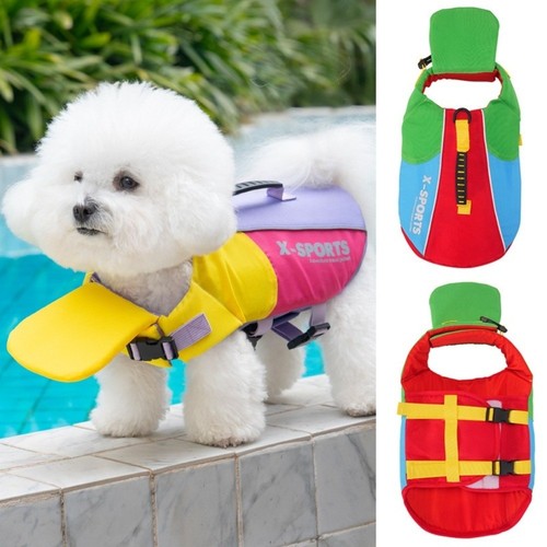 Dog life jacket safety - dog,
