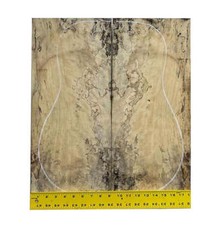 Spalted Tamarind Explorer