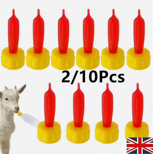 Pack lamb teat feeder - pack, lamb-teat
