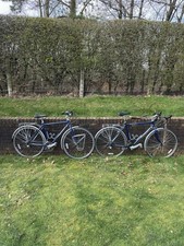 Price For 1 Ridgeback Panorama