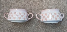 Set Of 2 Denby Soup Bowl