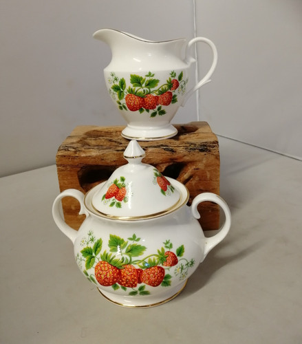 Salisbury wild strawberry - wild,