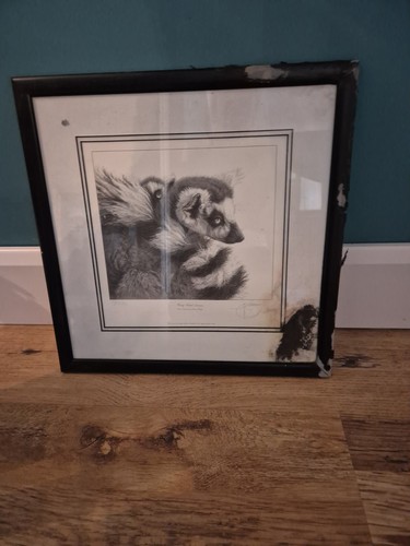 Ring tailed lemur gary - ring, by