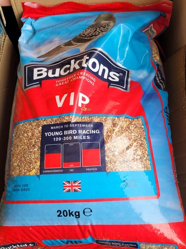 Bucktons vip racing - bucktons,