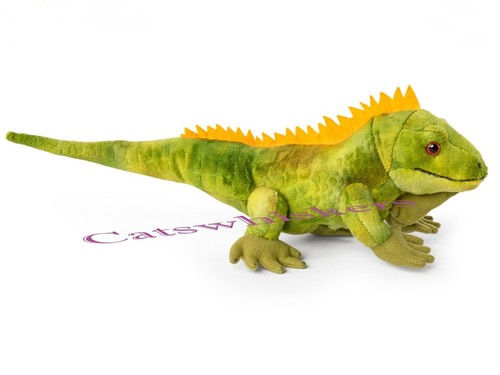 Iguana plush soft - soft, toy