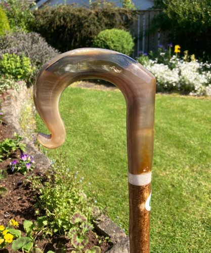 Cow horn crook handle stick - ,
