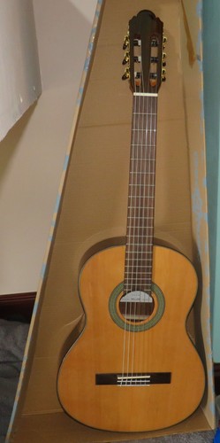 New ferndale plus - c2, classical