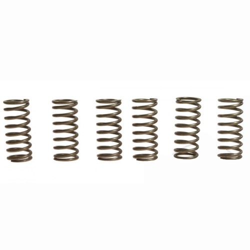 Clutch spring kit - spring, (6)mef160-6