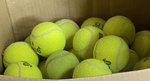 Used tennis balls - used,