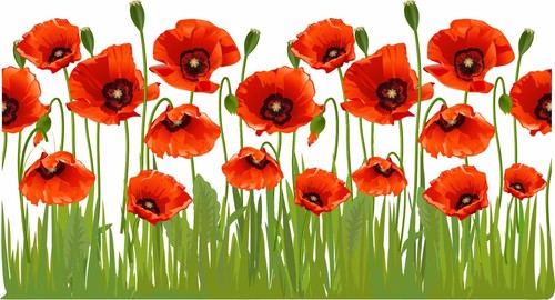 Poppy flower vinyl sticker - flower,